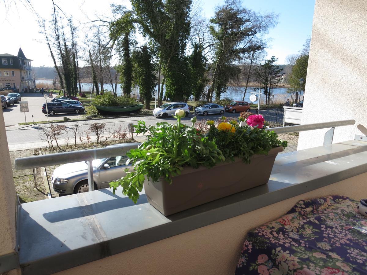 Neue Villa Ernst - Ferienwohnung 3 Heringsdorf  Esterno foto